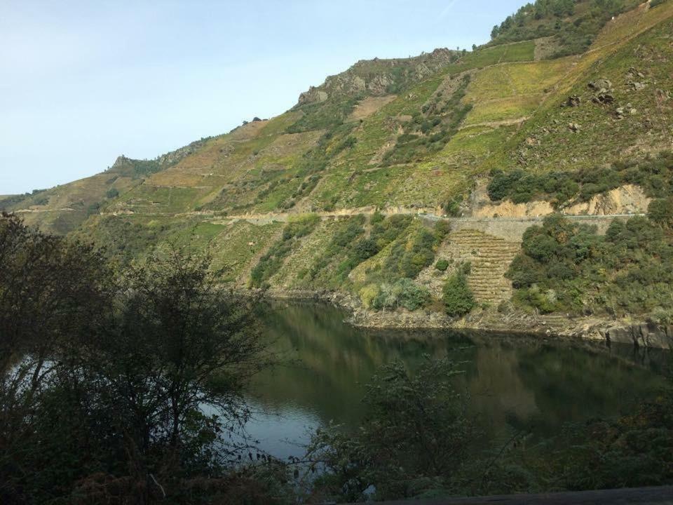 Acogedor Apartamento Ribeira Sacra Monforte De Lemos Εξωτερικό φωτογραφία