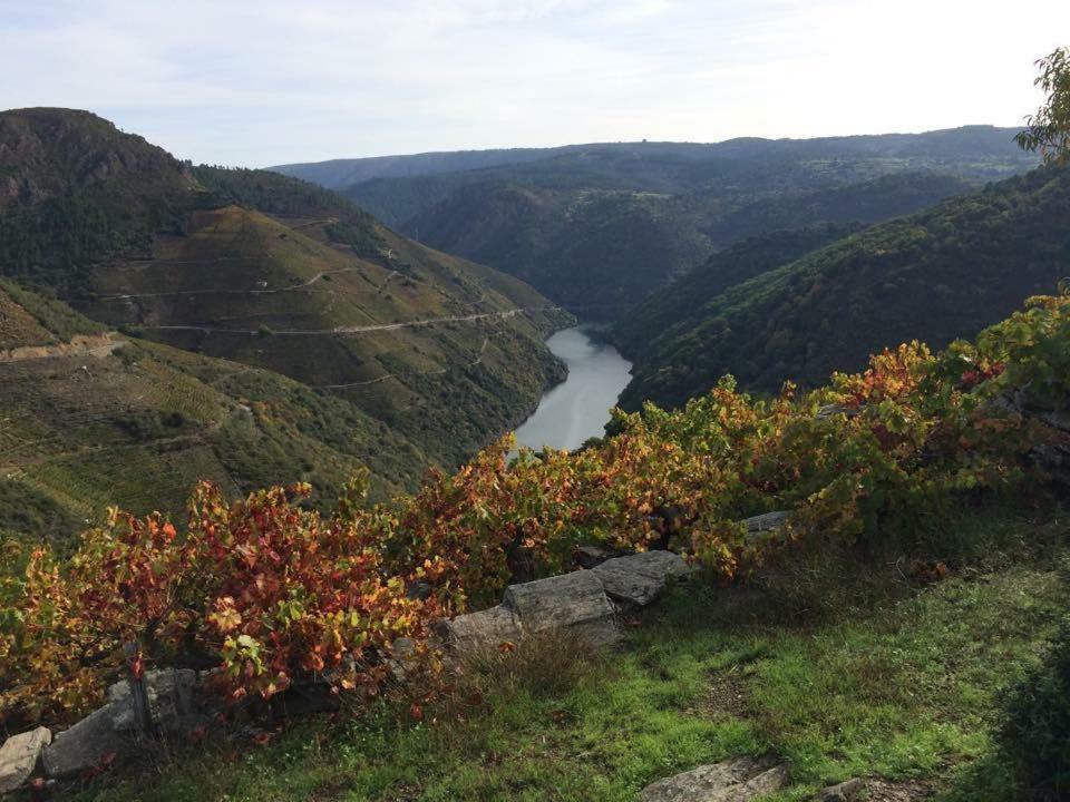 Acogedor Apartamento Ribeira Sacra Monforte De Lemos Εξωτερικό φωτογραφία